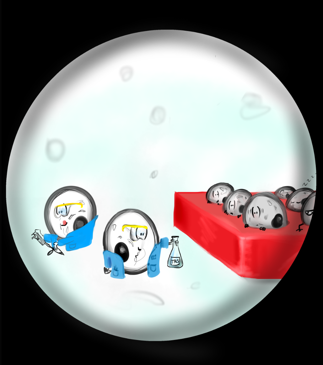 The Evolution of a Sketch Chemistry Cartoon