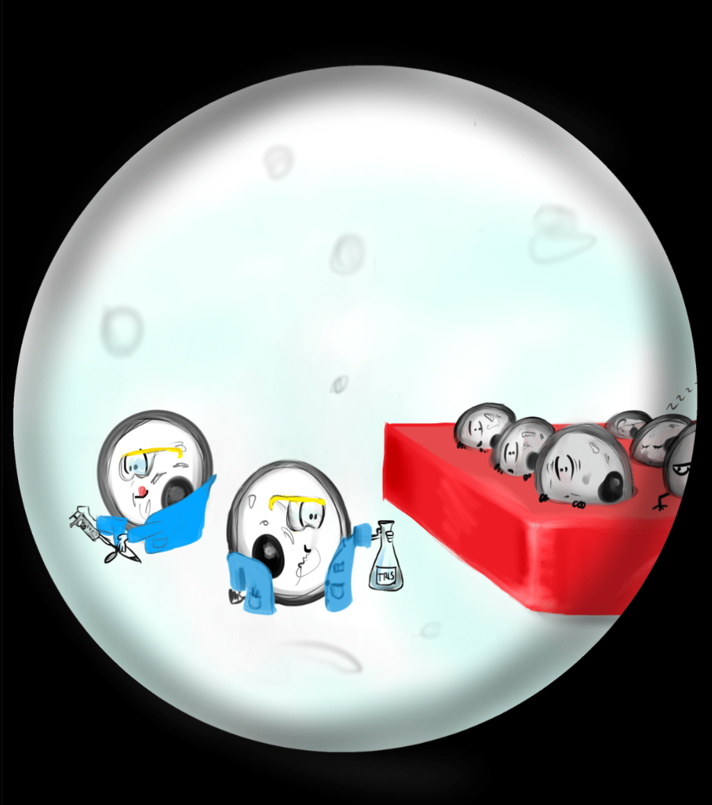 The Evolution of a Sketch Chemistry&nbsp;Cartoon