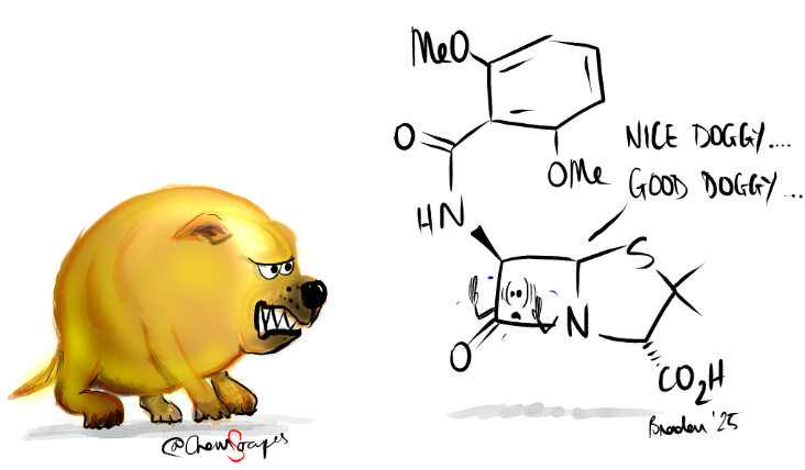 MRSA Explained